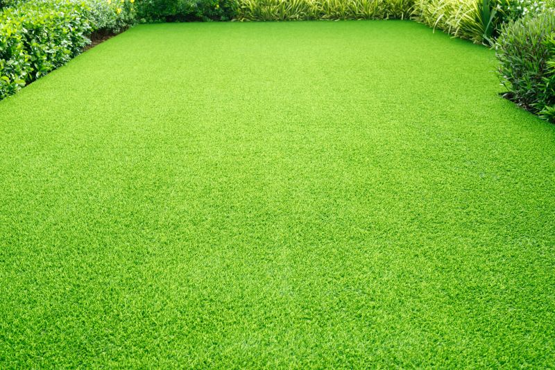 Healthy Lawn Restoration